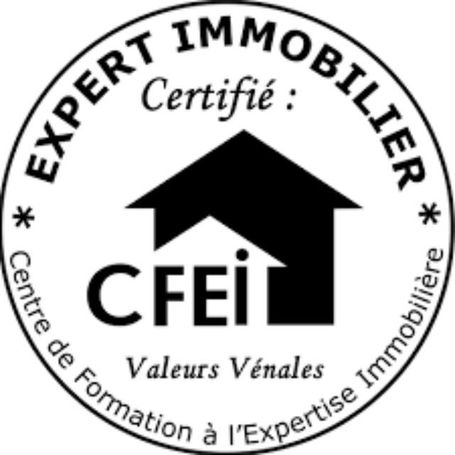 logo CFEI